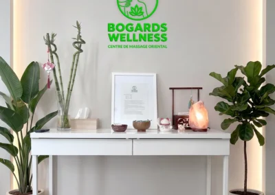 Accueil et logo du salon Bogards Wellness
